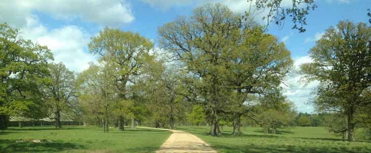 Woburn Deer Park